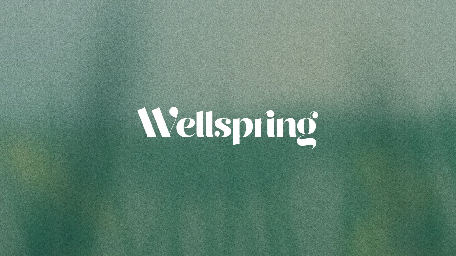 Wellspring, brand, product & app by KANE
